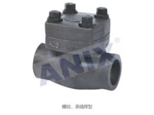 American Standard Forged Steel Check Valve